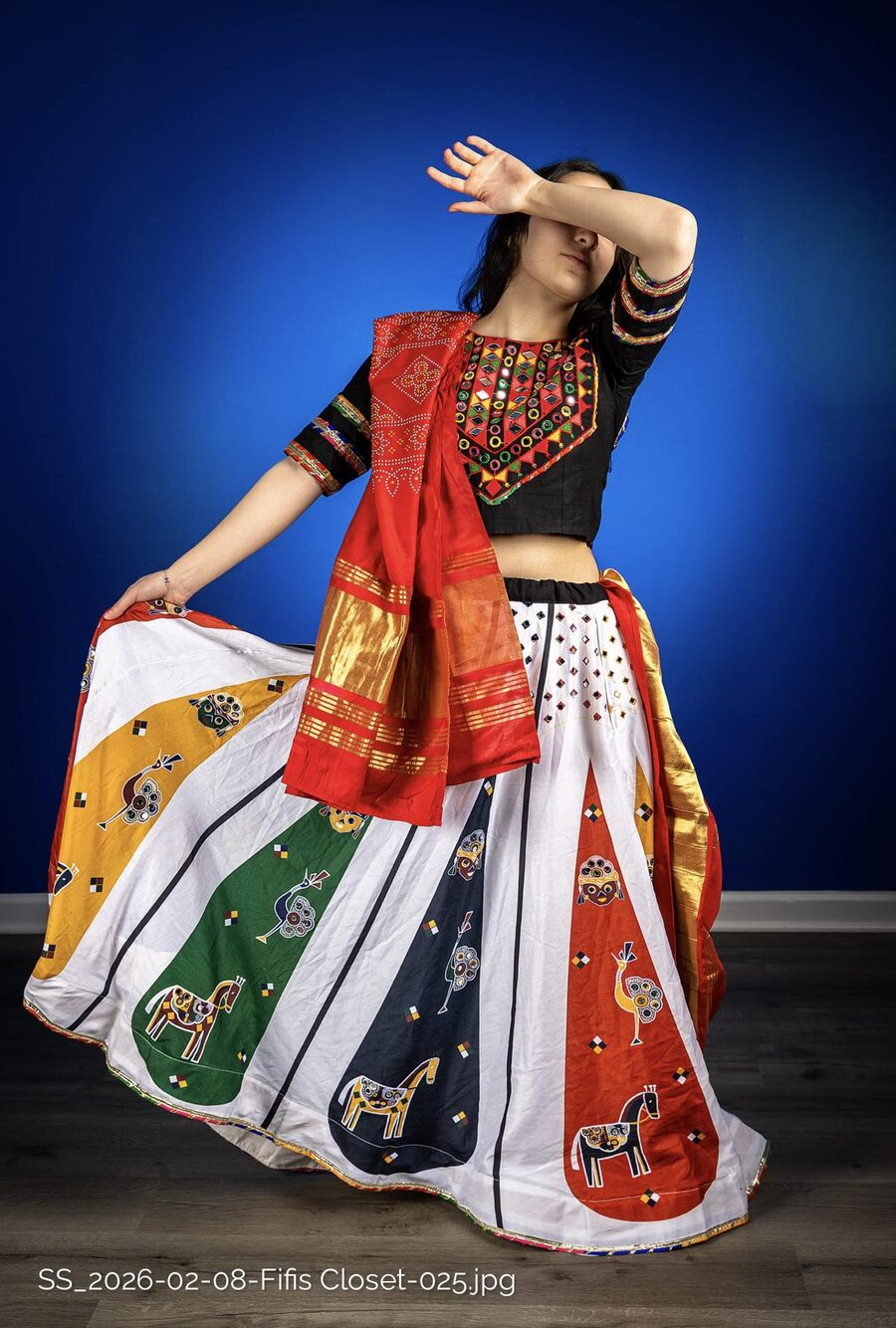 Colorful Indian lehenga with embroidered blouse